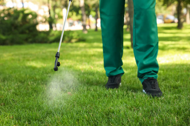Wasp Removal Services in Silver Spring, MD