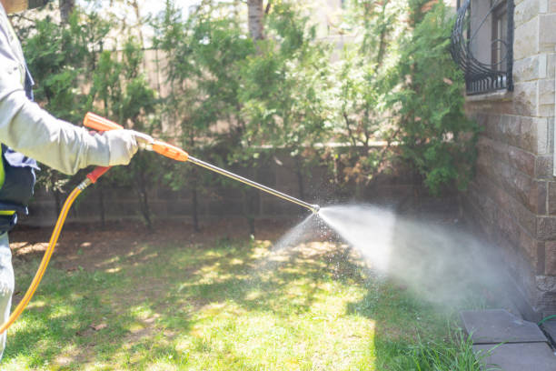 Best Rodent Control Near Me  in Silver Spring, MD