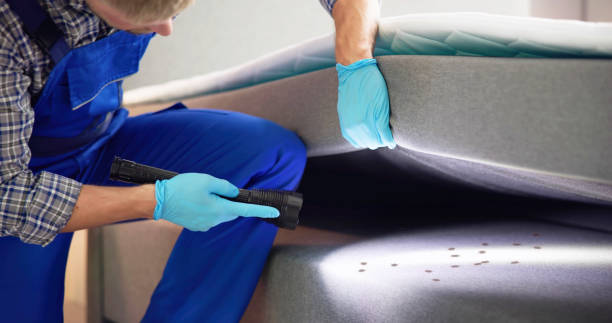 Best Pest Prevention Services  in Silver Spring, MD