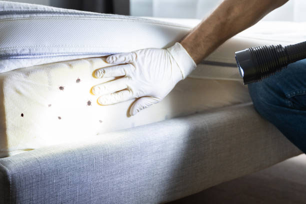 Best Wildlife Control Services  in Silver Spring, MD